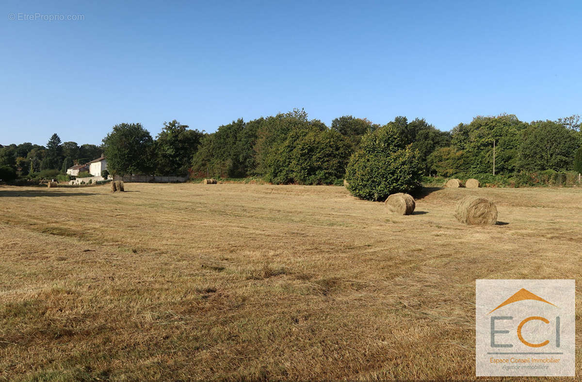 Terrain à BERSAC-SUR-RIVALIER