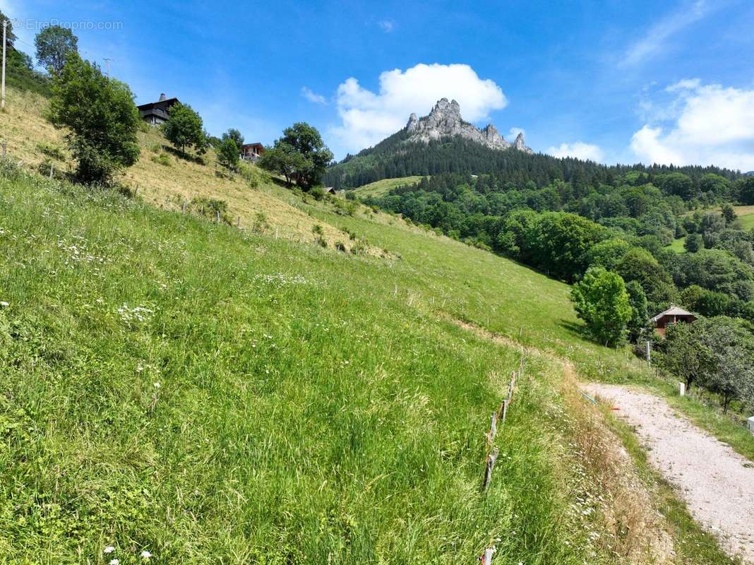 Terrain à BERNEX