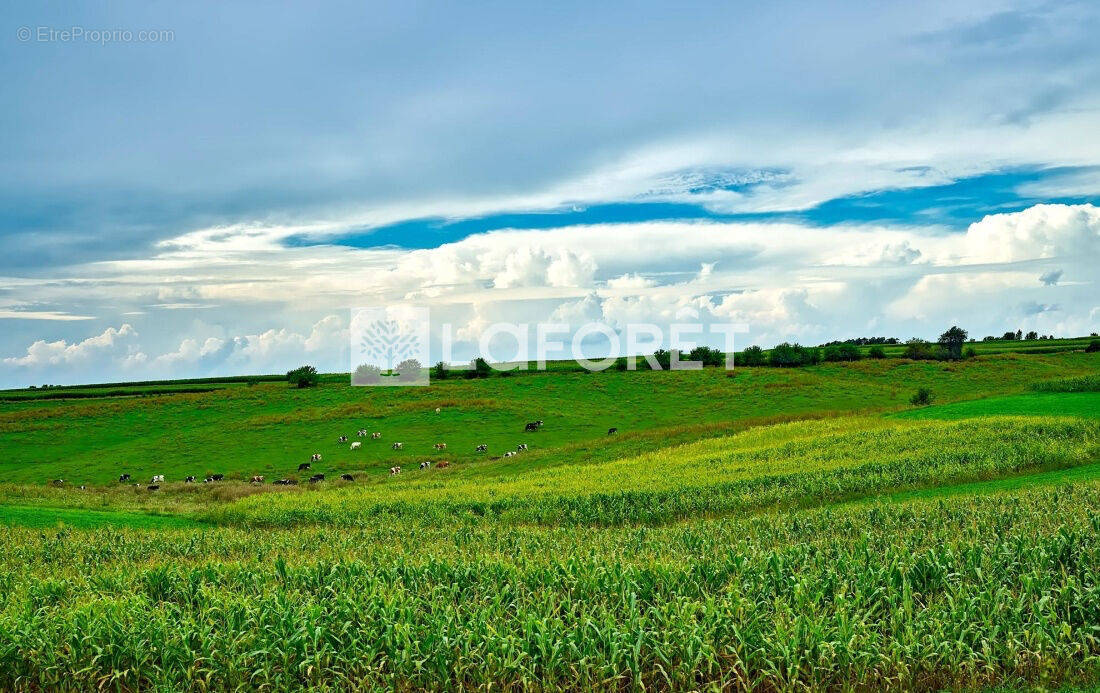 Terrain à CAPPELLE-EN-PEVELE