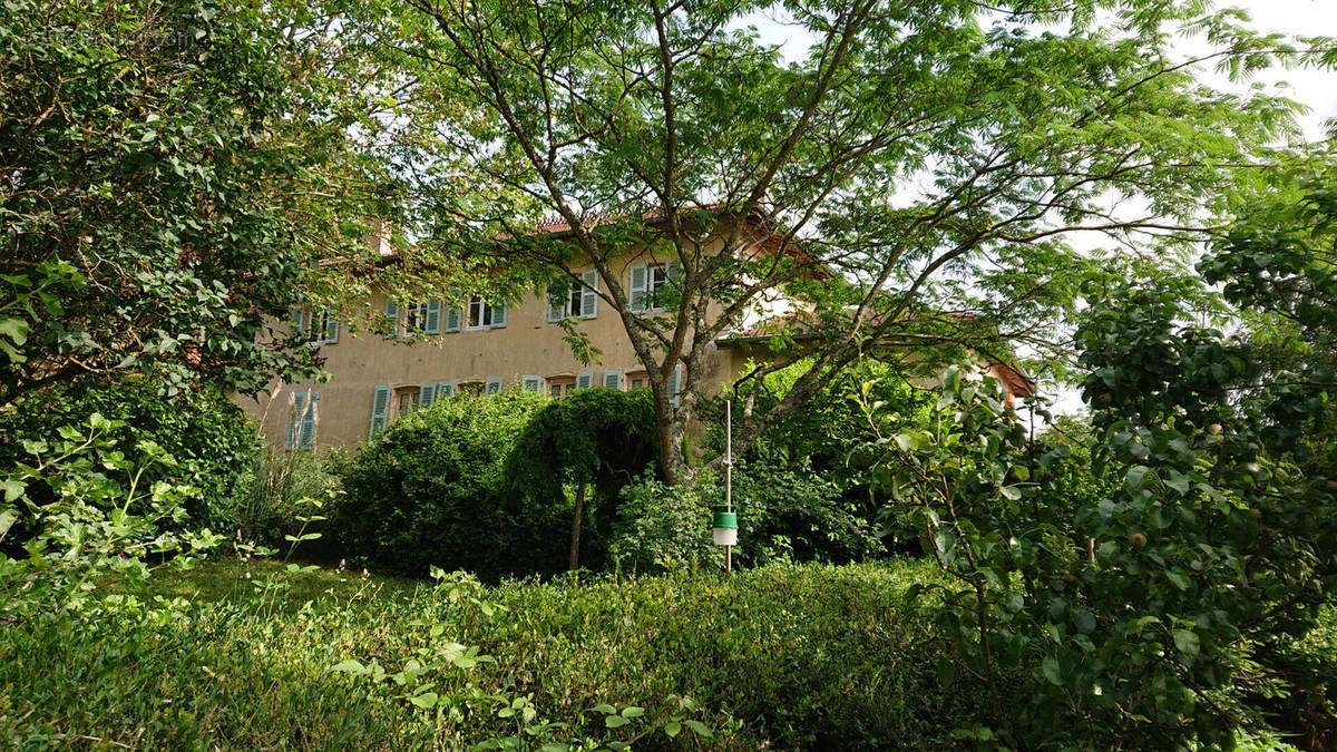 Maison à CHATILLON-SUR-CHALARONNE