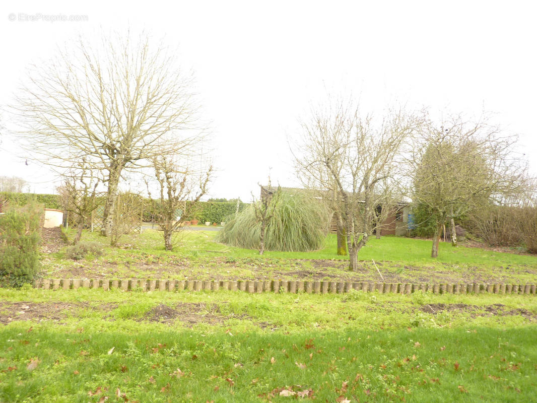 Terrain à LE LOROUX-BOTTEREAU