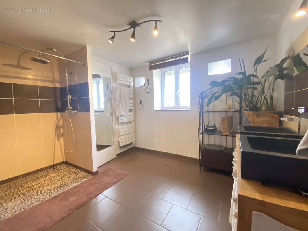 Appartement à BRAIN-SUR-ALLONNES