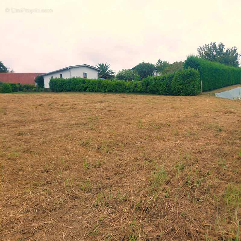 Terrain à GUICHE