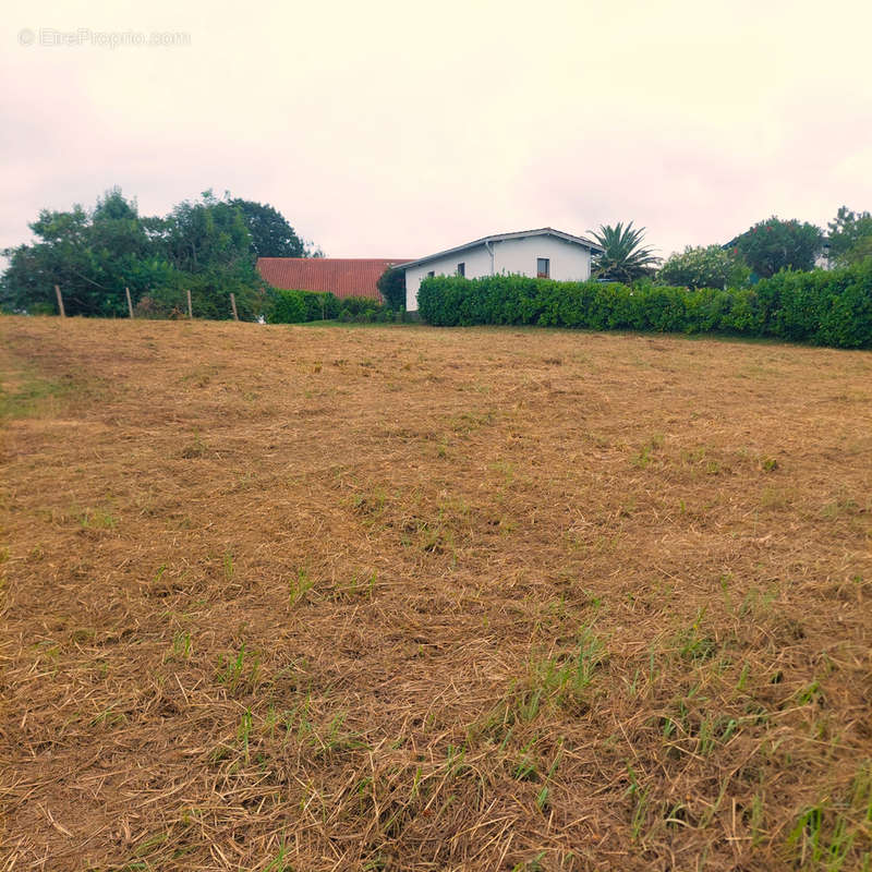 Terrain à GUICHE