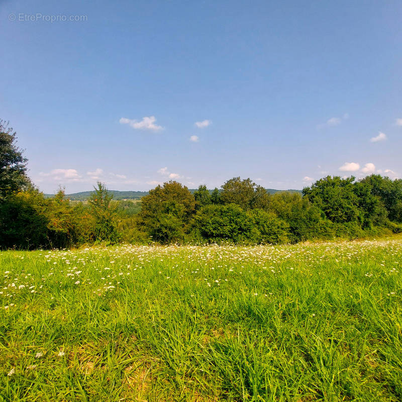 Terrain à GUICHE