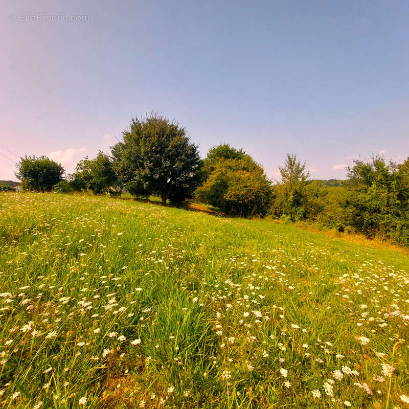 Terrain à GUICHE