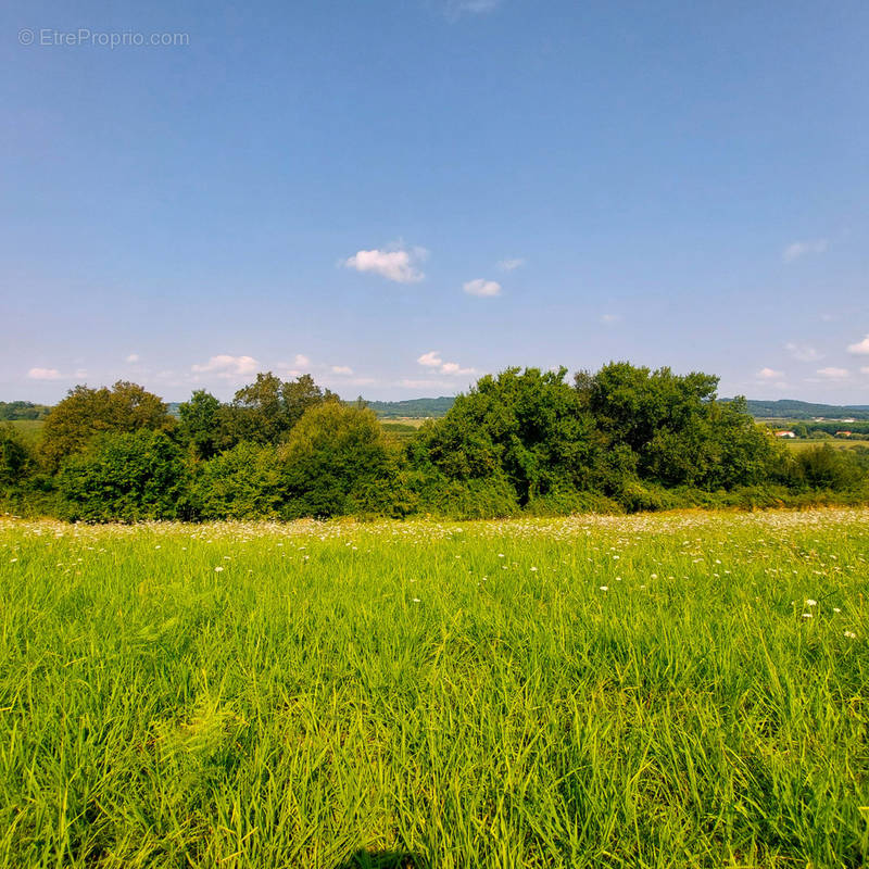 Terrain à GUICHE