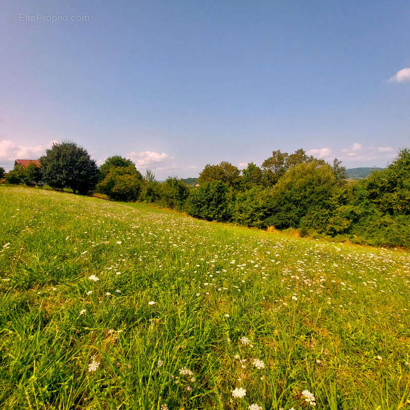 Terrain à GUICHE