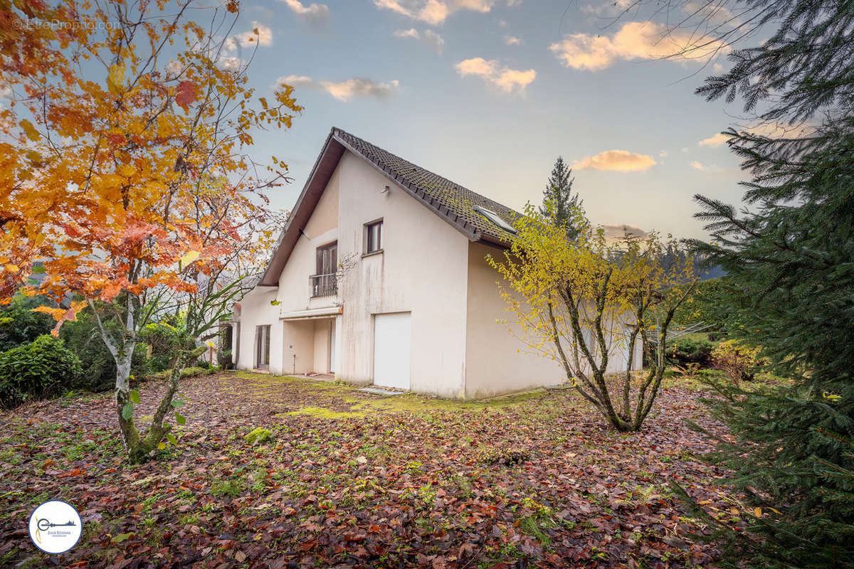 Maison à LE MENIL