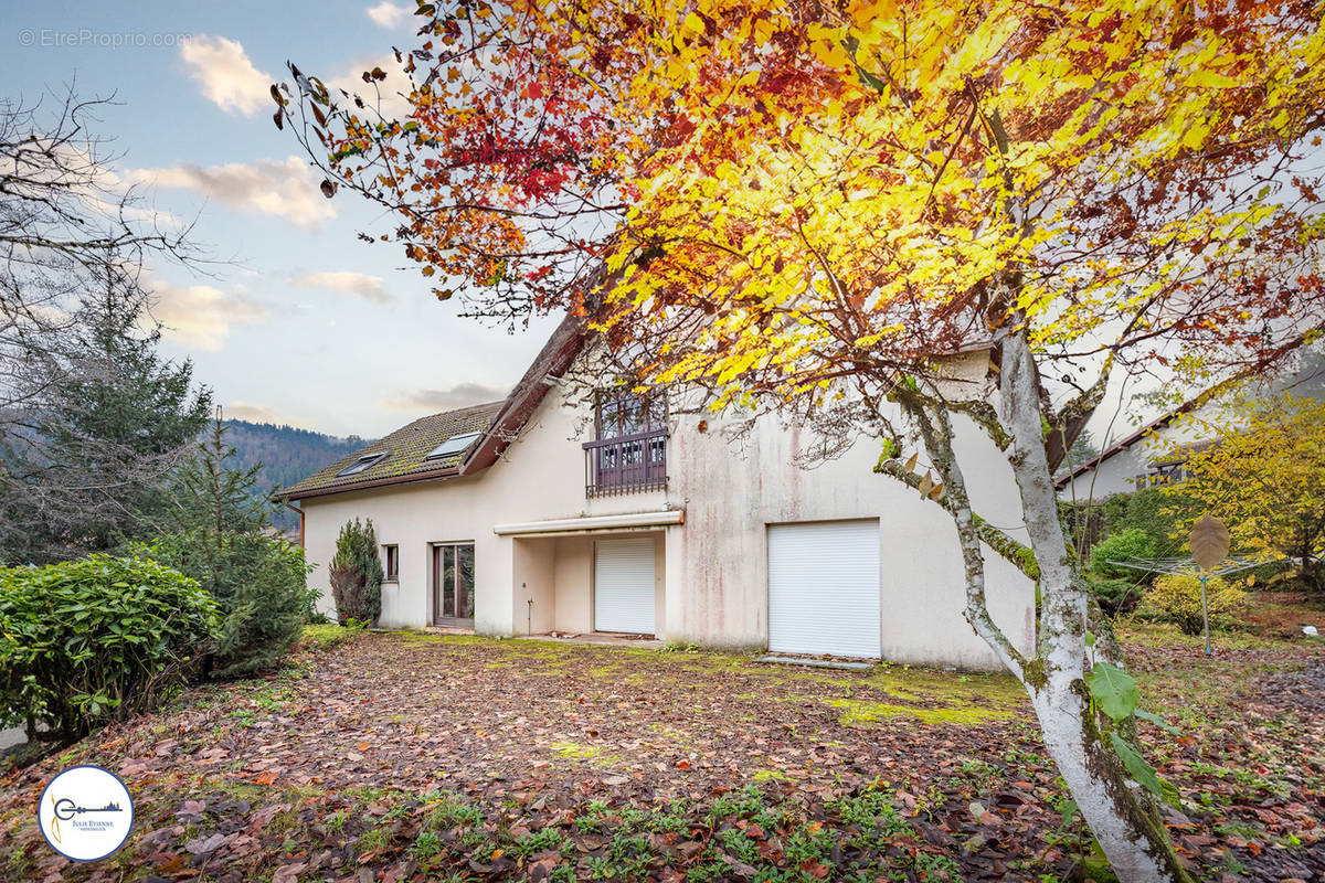 Maison à LE MENIL