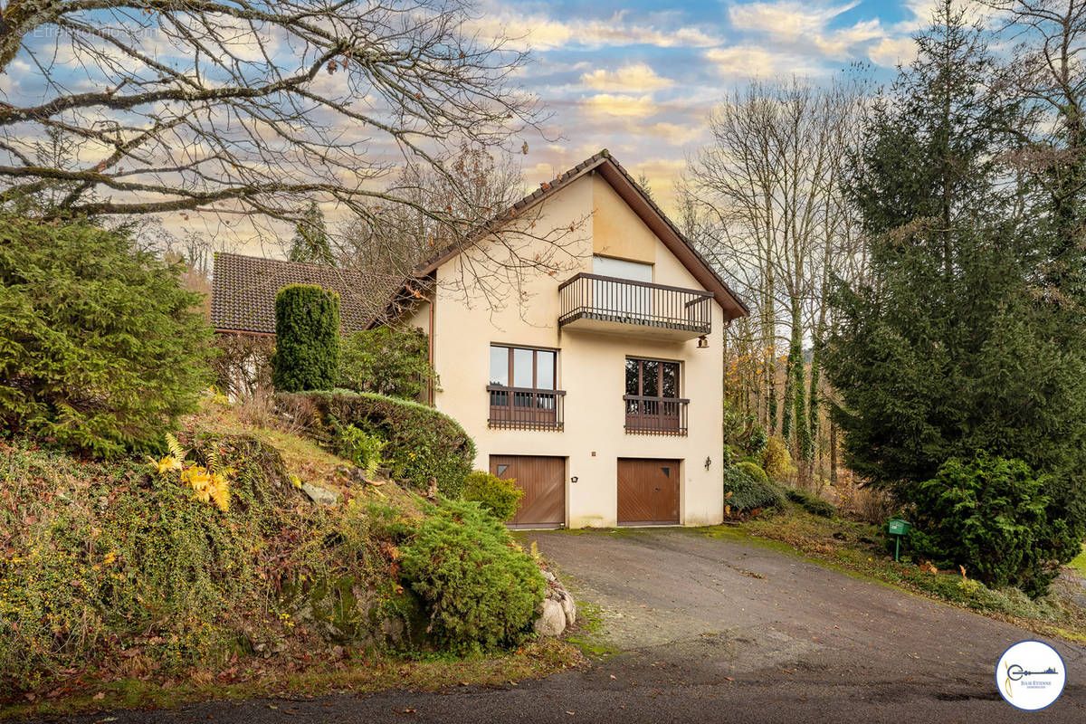 Maison à LE MENIL