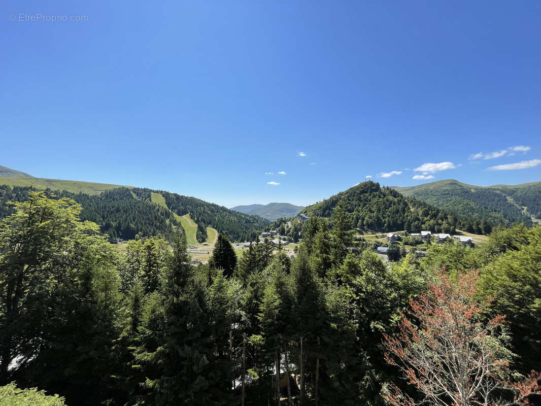 Appartement à LAVEISSIERE