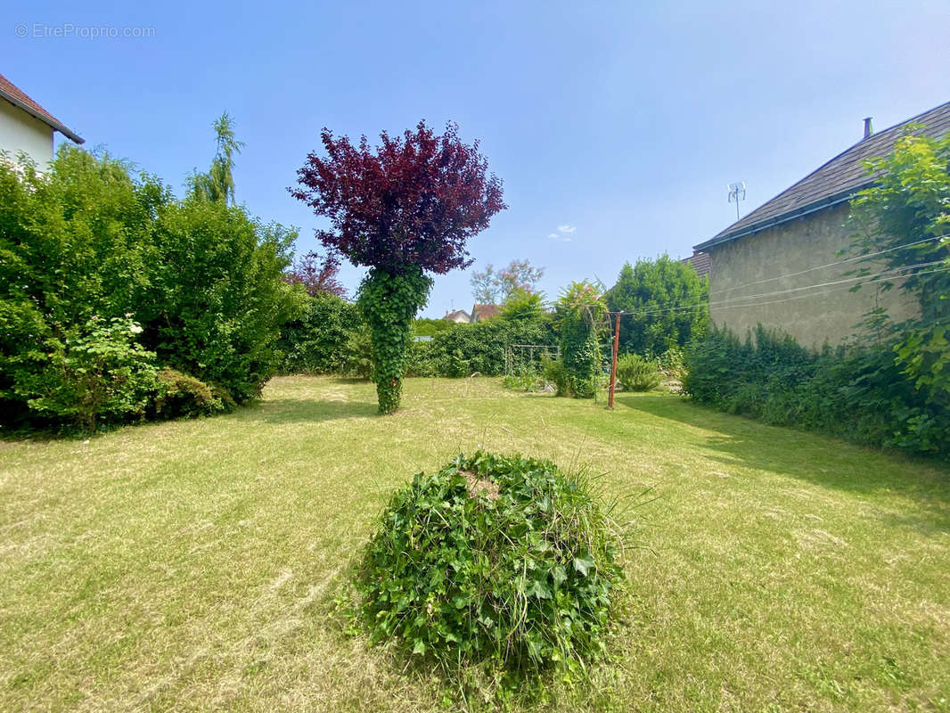 Maison à VIERZON