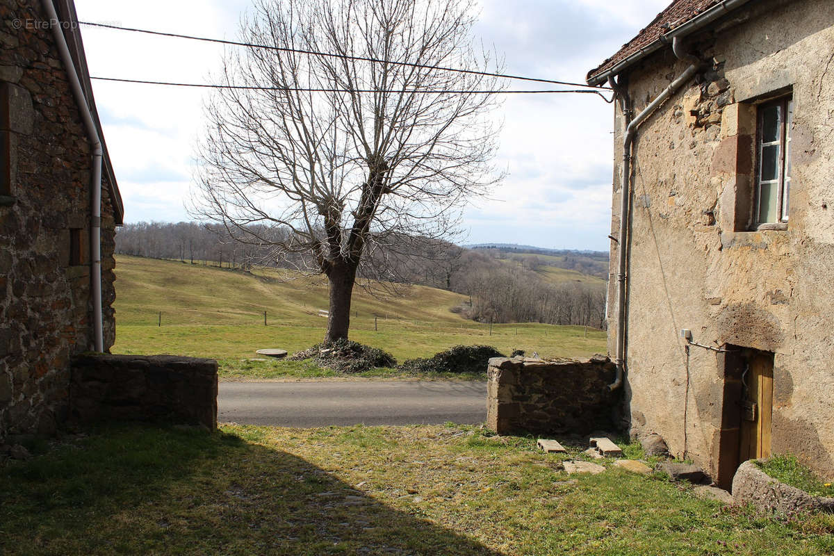 Maison à ANGLARDS-DE-SALERS