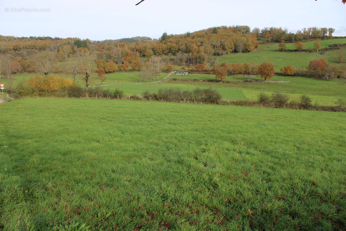 Terrain à VEBRET