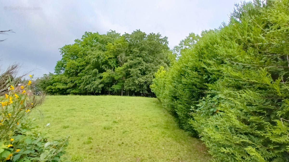 Terrain à LAFEUILLADE-EN-VEZIE