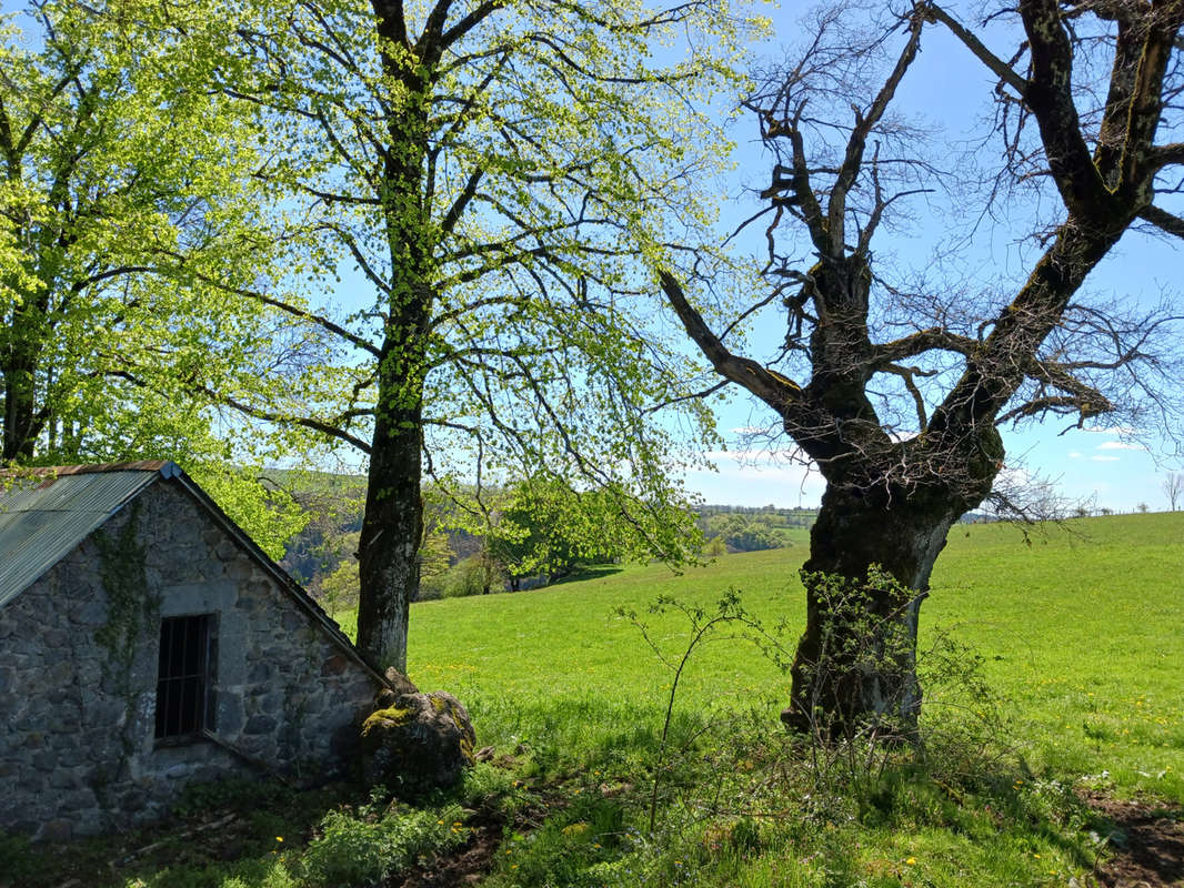 Maison à SAINT-MARTIN-VALMEROUX