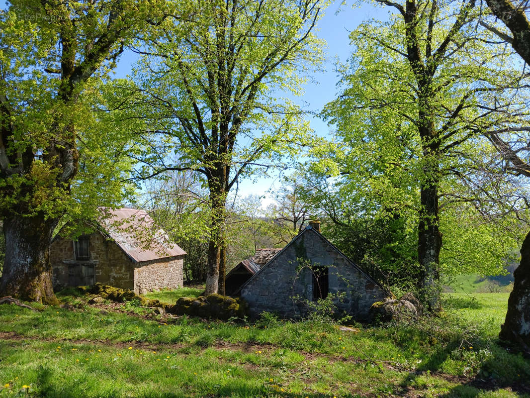 Maison à SAINT-MARTIN-VALMEROUX