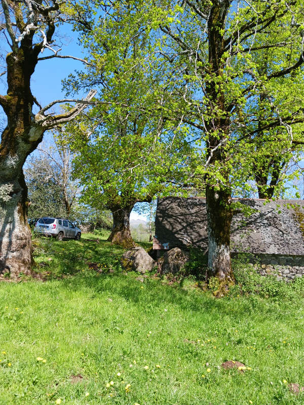 Maison à SAINT-MARTIN-VALMEROUX