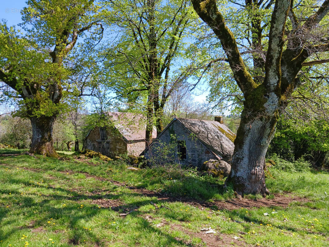 Maison à SAINT-MARTIN-VALMEROUX