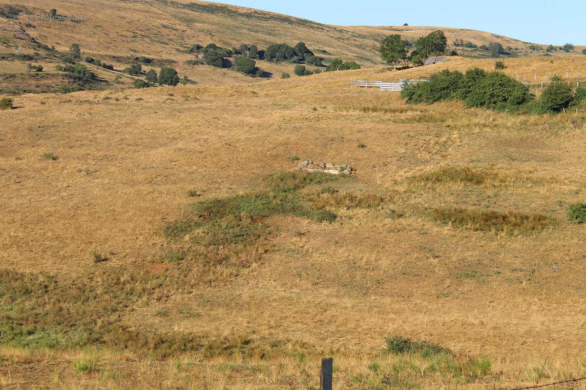 Terrain à SAINT-BONNET-DE-SALERS