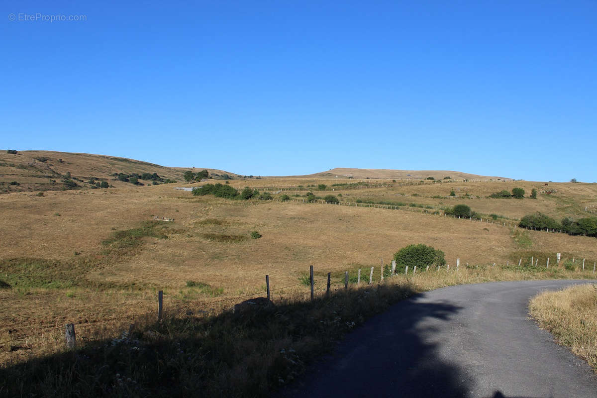 Terrain à SAINT-BONNET-DE-SALERS