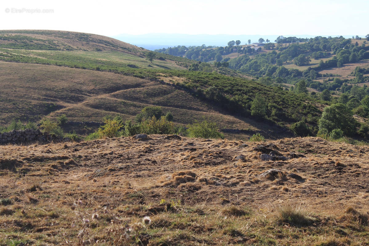 Terrain à SAINT-BONNET-DE-SALERS