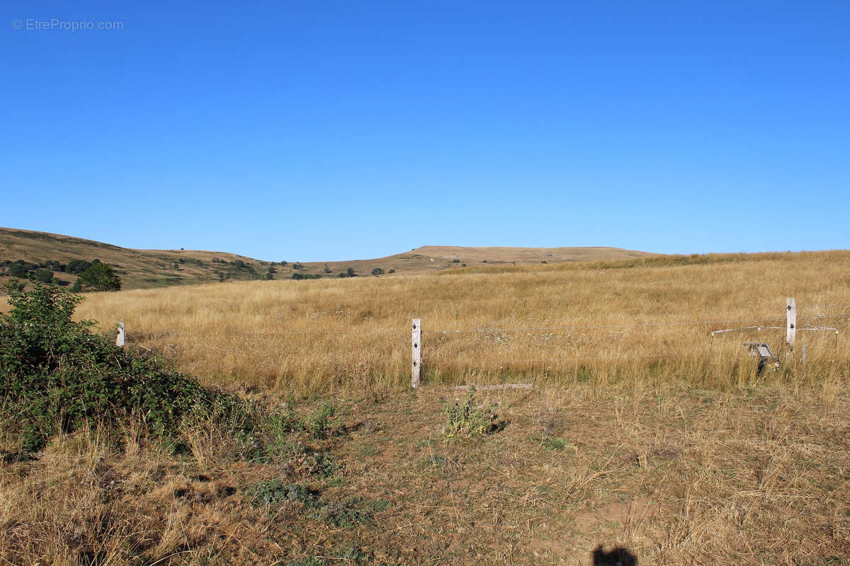 Terrain à SAINT-BONNET-DE-SALERS