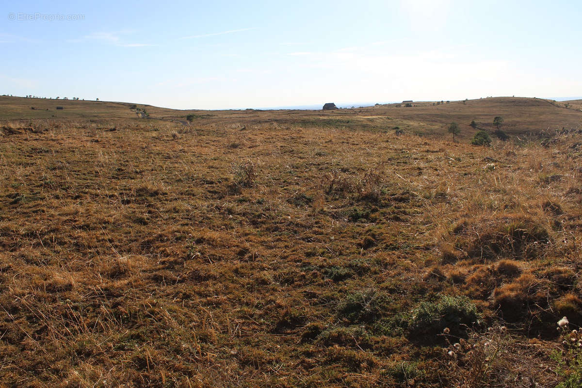 Terrain à SAINT-BONNET-DE-SALERS