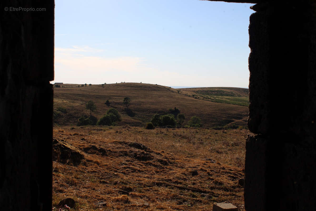 Terrain à SAINT-BONNET-DE-SALERS