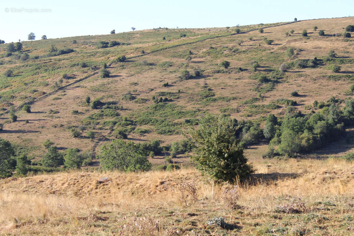 Terrain à SAINT-BONNET-DE-SALERS