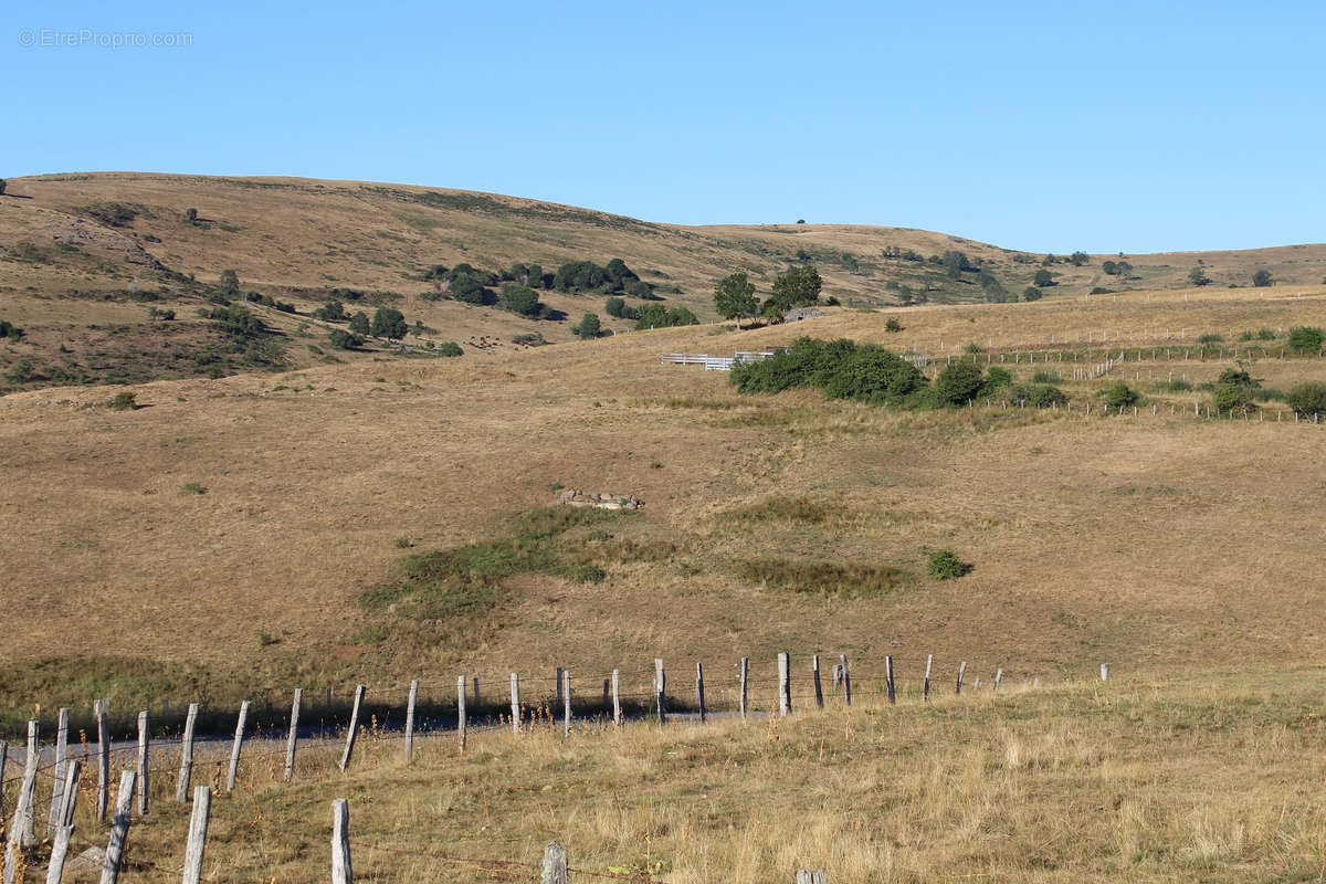 Terrain à SAINT-BONNET-DE-SALERS