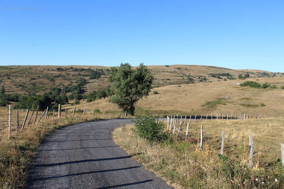 Terrain à SAINT-BONNET-DE-SALERS