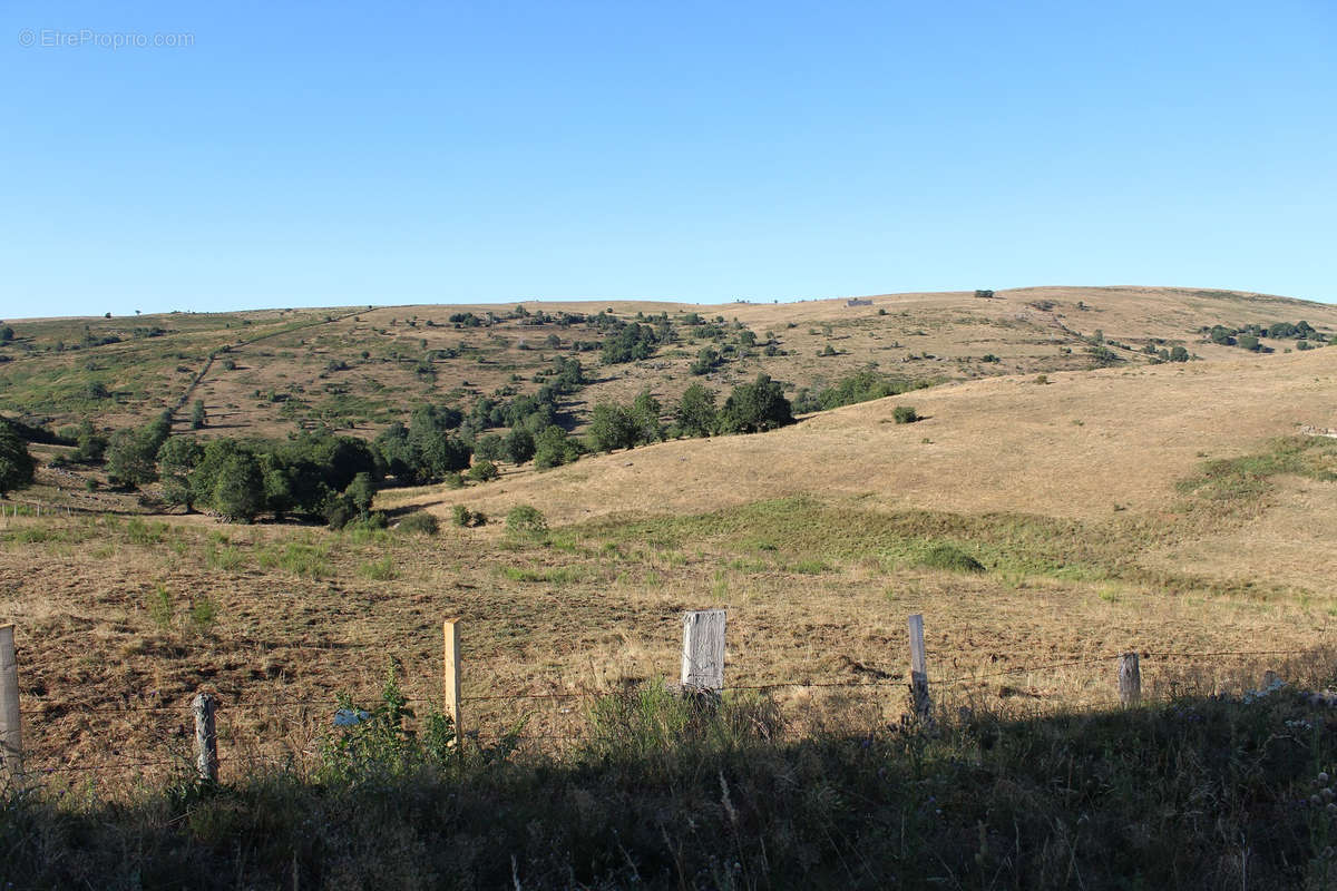 Terrain à SAINT-BONNET-DE-SALERS