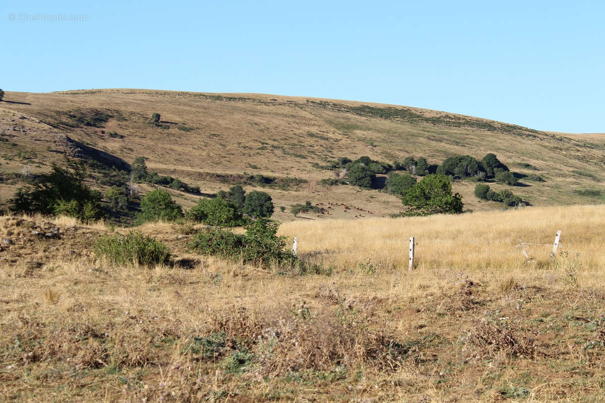 Terrain à SAINT-BONNET-DE-SALERS