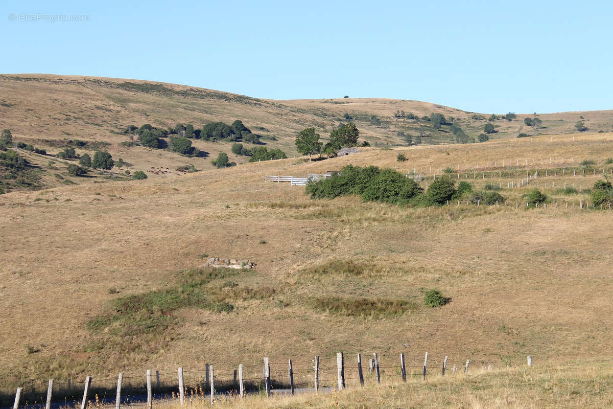 Terrain à SAINT-BONNET-DE-SALERS