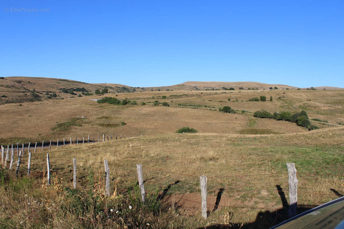 Terrain à SAINT-BONNET-DE-SALERS