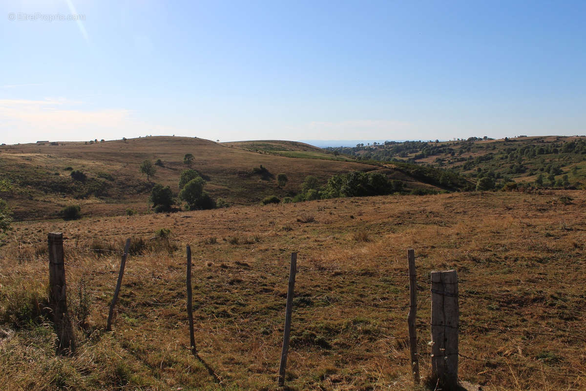 Terrain à SAINT-BONNET-DE-SALERS