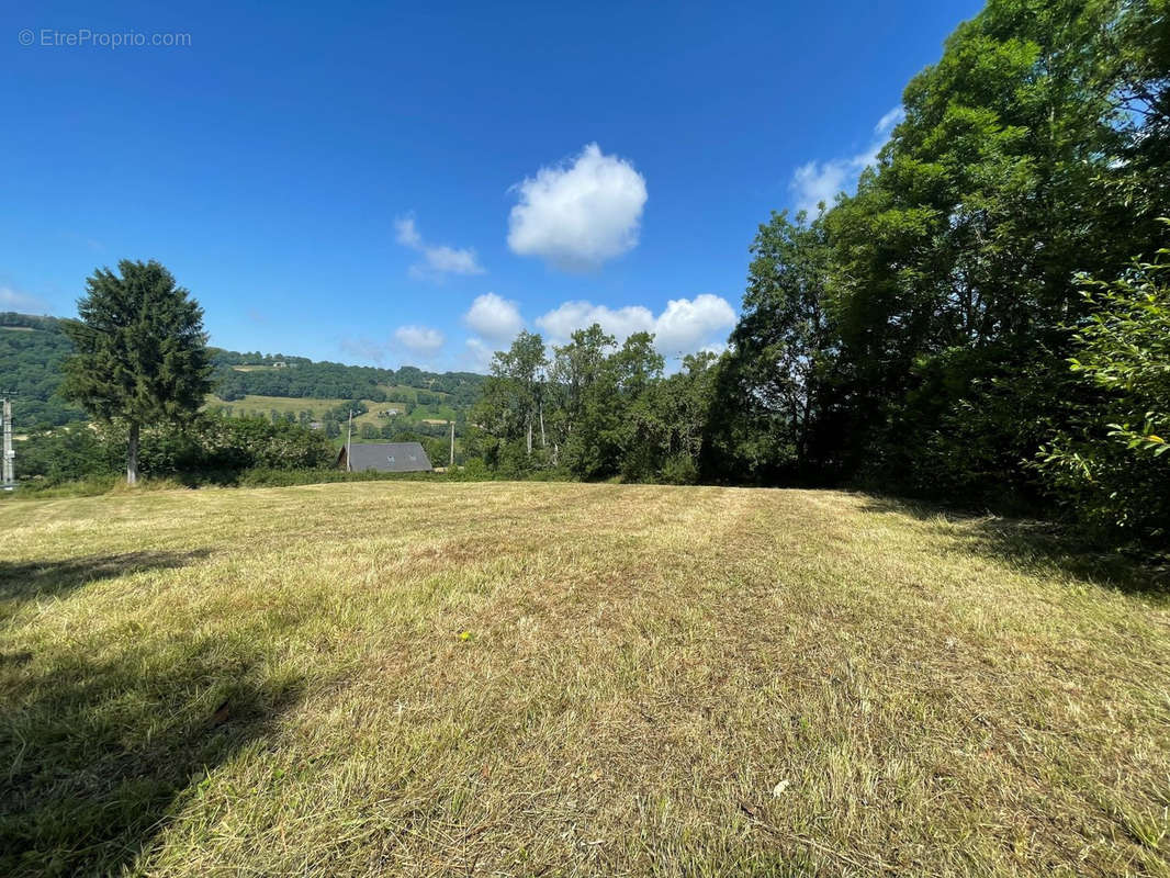 Terrain à RIOM-ES-MONTAGNES