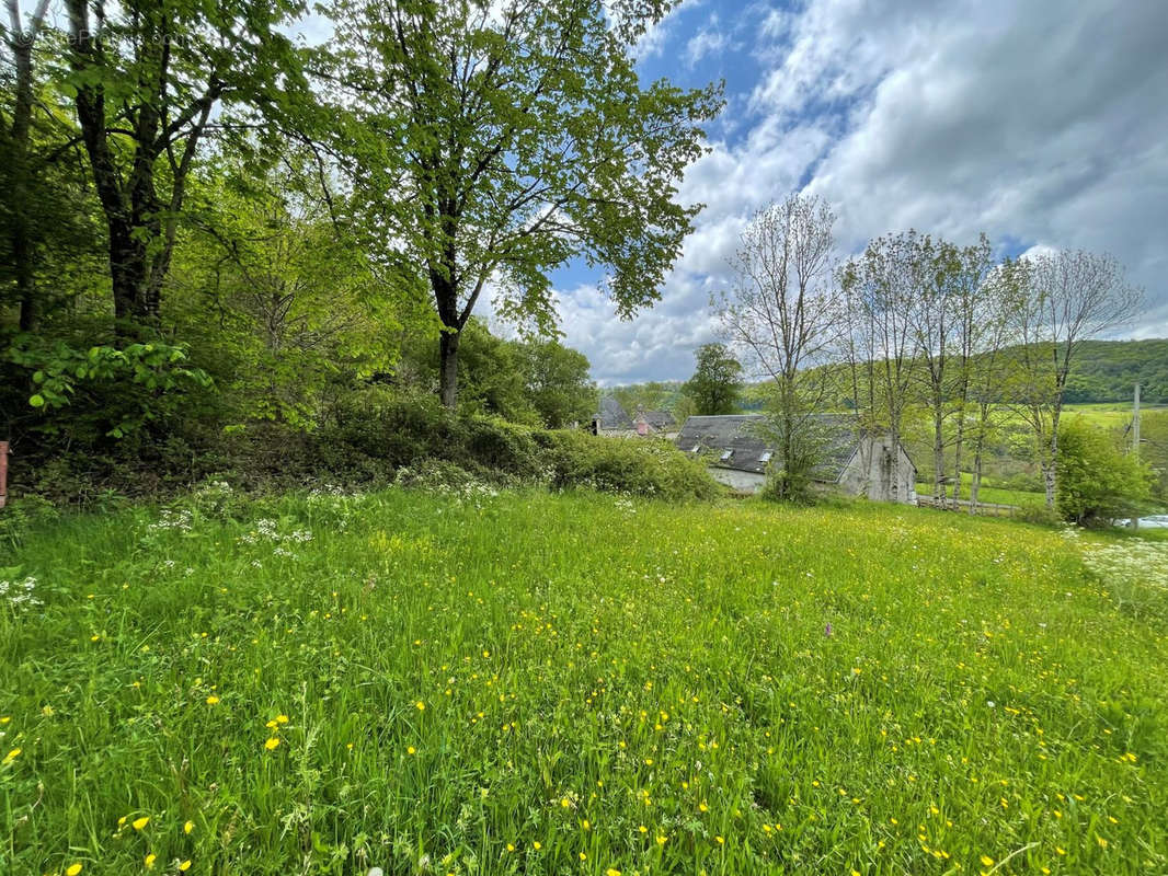 Terrain à RIOM-ES-MONTAGNES