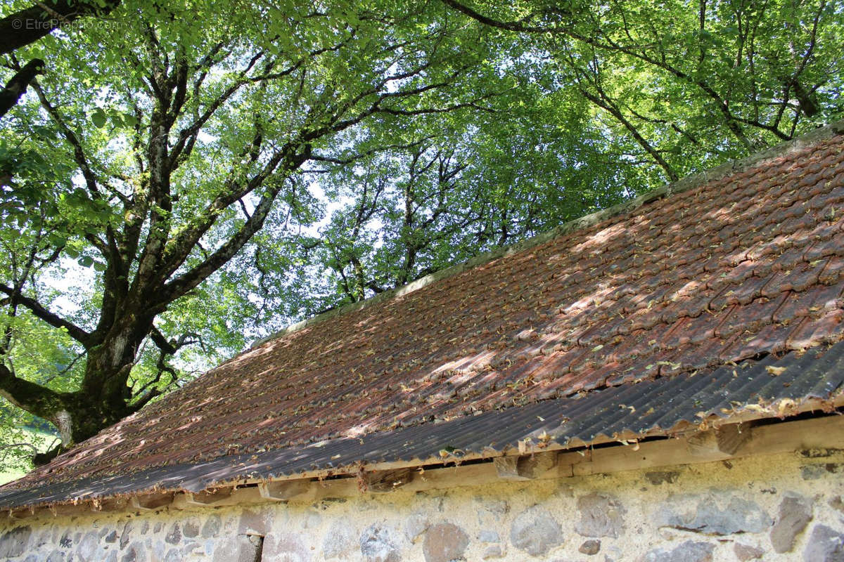 Maison à SAINT-PROJET-DE-SALERS