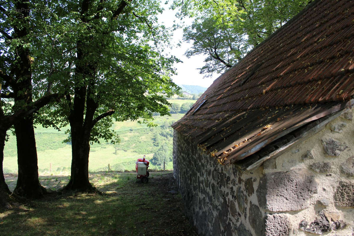 Maison à SAINT-PROJET-DE-SALERS