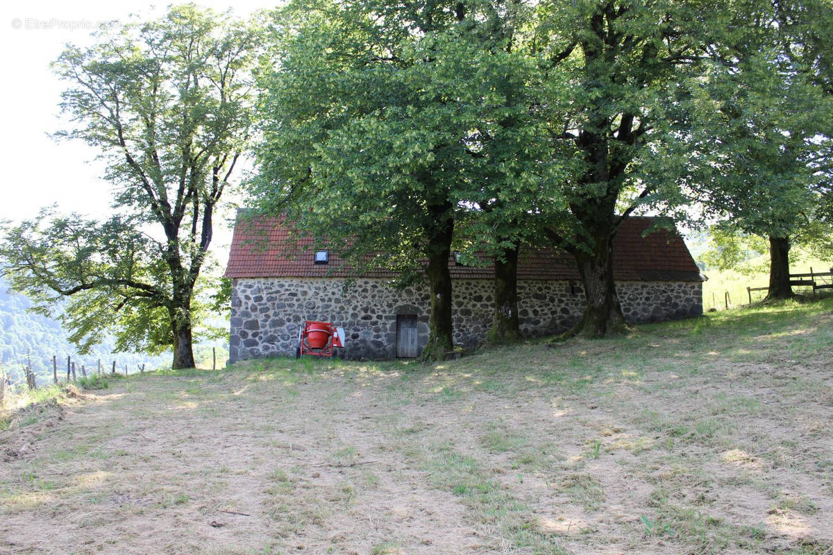 Maison à SAINT-PROJET-DE-SALERS