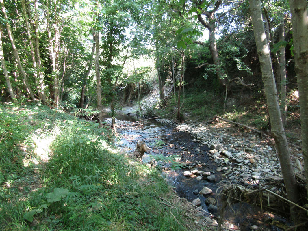 Terrain à CAUDIES-DE-FENOUILLEDES