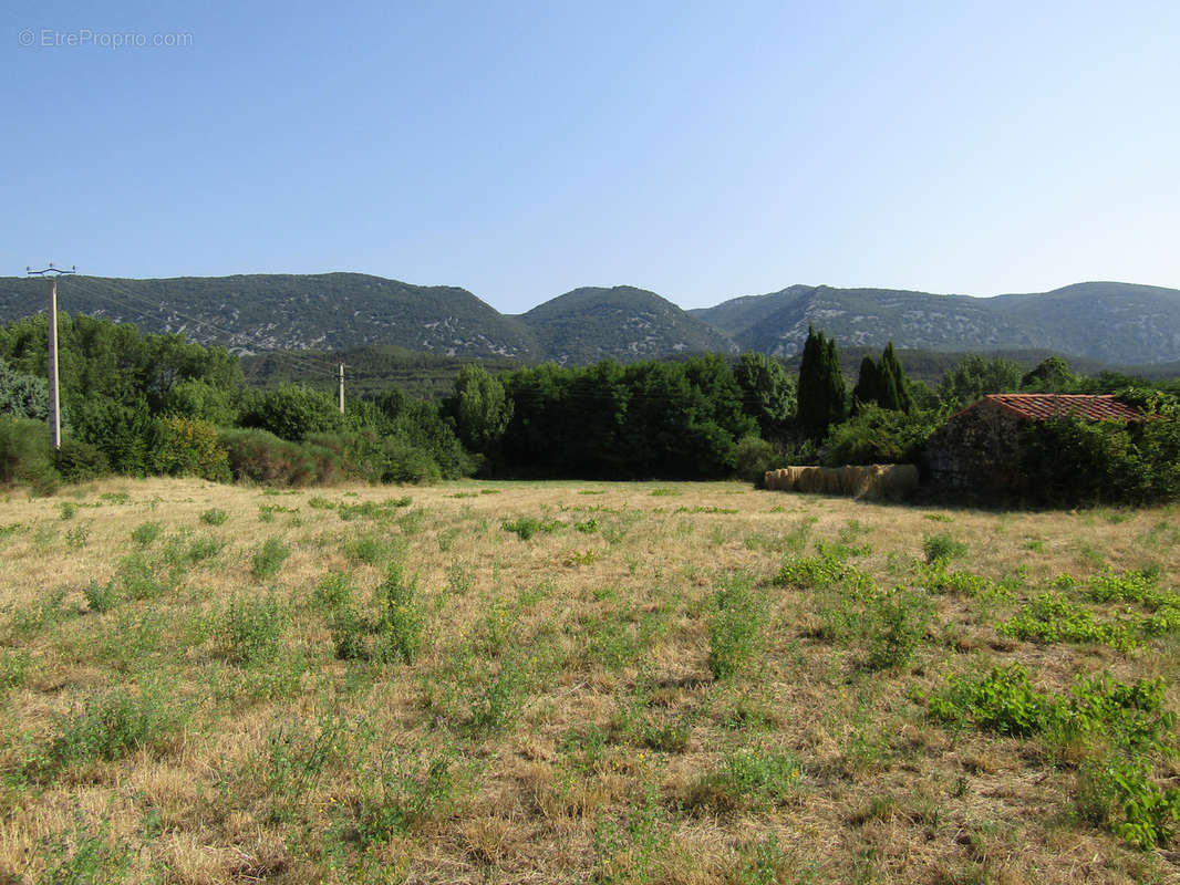 Terrain à CAUDIES-DE-FENOUILLEDES