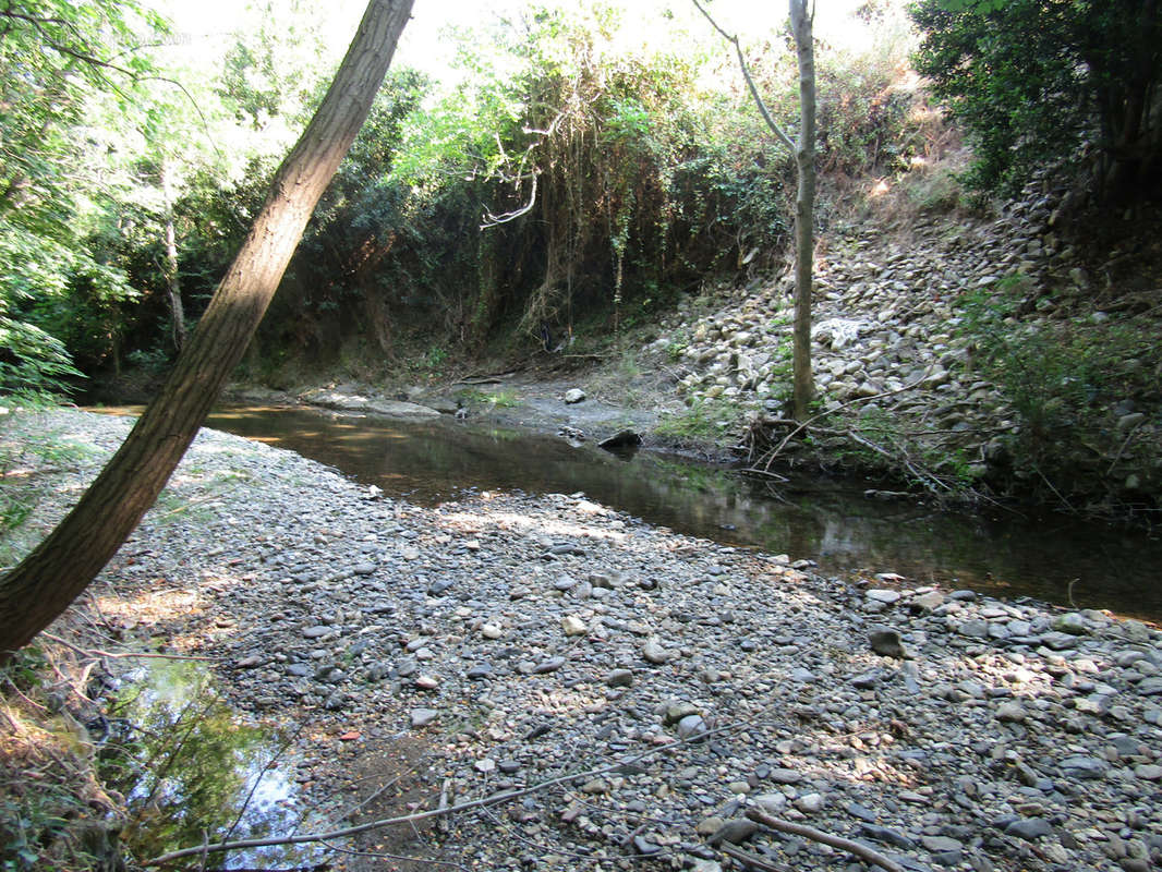 Terrain à CAUDIES-DE-FENOUILLEDES