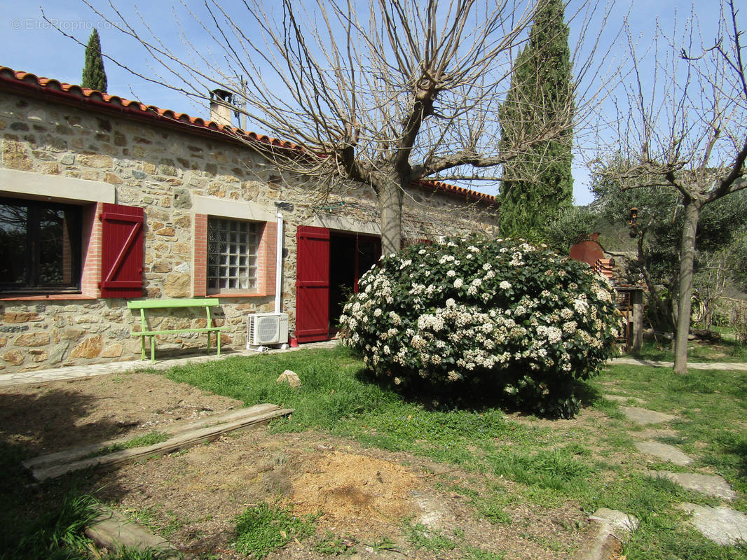 Maison à SAINT-PAUL-DE-FENOUILLET