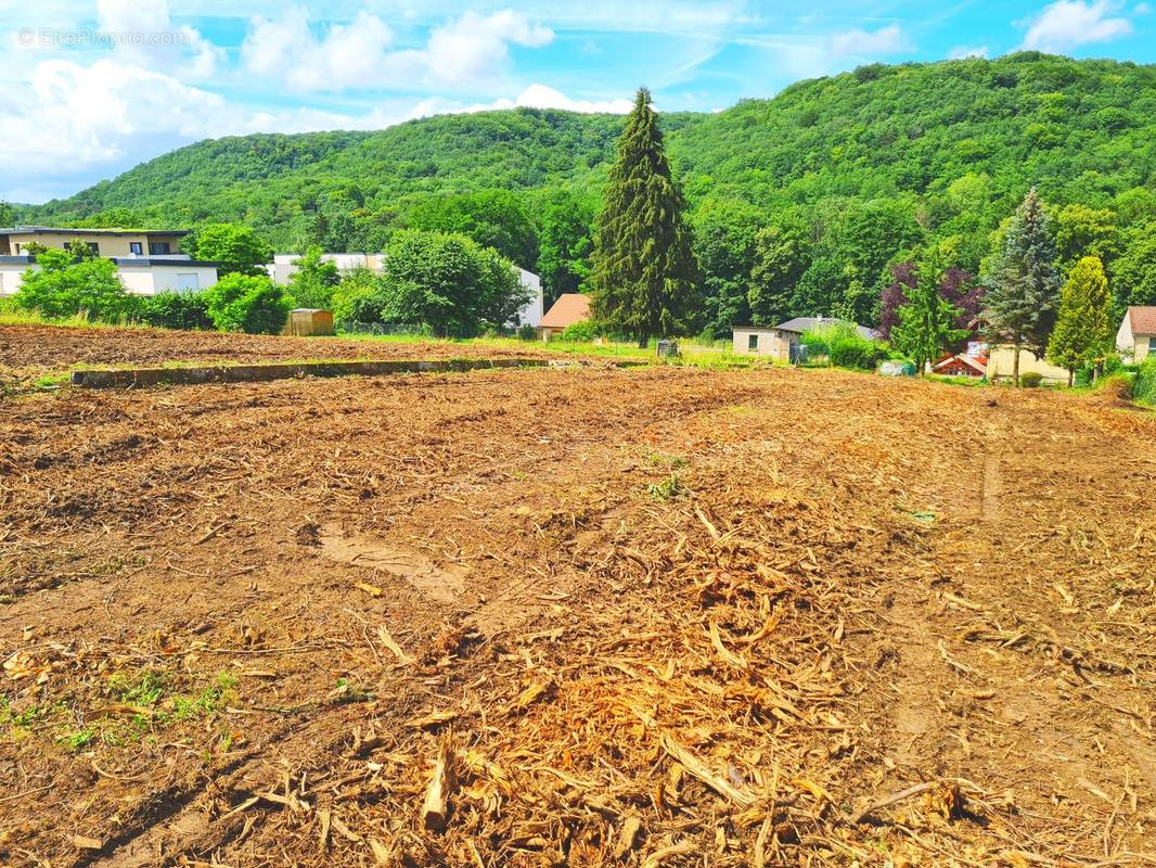 Terrain à ARS-SUR-MOSELLE