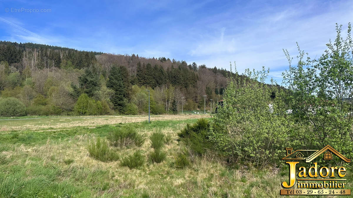 Terrain à GERARDMER