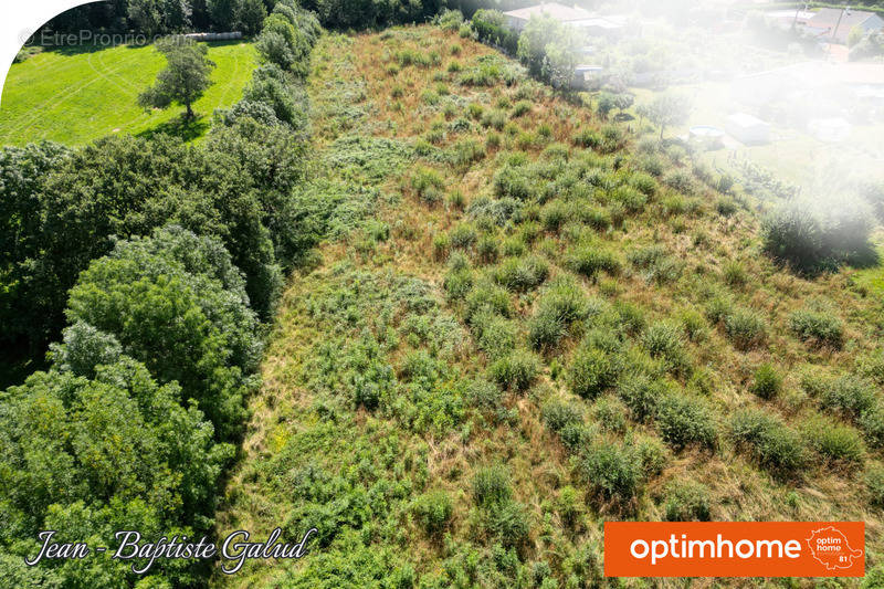 Terrain à PAMPELONNE